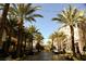 Palm tree-lined street in a shopping center at 2424 Ping Dr, Henderson, NV 89074