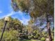 Mature trees and building nestled in community at 2851 S Valley View Blvd # 1119, Las Vegas, NV 89102