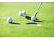 Close-up of a golf putting green with balls and a putter at 7108 Silver Palace St, Las Vegas, NV 89131