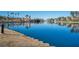 Scenic view of lake with palm trees and community buildings at 3125 N Buffalo Dr # 1089, Las Vegas, NV 89128