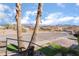 Picturesque street view framed by palm trees, showcasing the neighborhood's charm at 868 Marina Dr, Boulder City, NV 89005