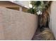 View of the backyard block fence and desert landscaping at 1013 Adobe Flat Dr, Henderson, NV 89011