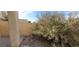 Image shows backyard with a large shrub at 1013 Adobe Flat Dr, Henderson, NV 89011