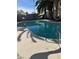 Sparkling blue swimming pool surrounded by a concrete deck and mature palm trees at 3909 Woodhill Ave, Las Vegas, NV 89121