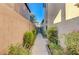 Landscaped side yard with a pathway leading to the backyard at 7943 Sleeping Lily Dr, Las Vegas, NV 89178