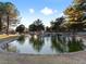 Scenic pond surrounded by lush trees and landscaping, offering a peaceful retreat at 2801 Willow Wind Ct, Las Vegas, NV 89117