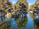 Scenic pond view with natural rock waterfall feature and lush, mature trees, populated by many ducks at 2801 Willow Wind Ct, Las Vegas, NV 89117