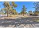 Scenic view of horse paddocks showcasing the perimeter fencing, horses, and surrounding trees in a ranch setting at 2868 Vista Del Sol Ave, Las Vegas, NV 89120