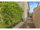 Landscaped side yard with lush greenery and a stone pathway, providing a private and serene outdoor space at 9143 Irish Elk Ave, Las Vegas, NV 89149
