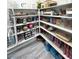Large walk-in pantry with shelving for ample storage at 12113 Rojo Roma Ave, Las Vegas, NV 89138