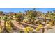 Community boasts lush landscaping, mature palm trees, and mountain views at 315 Foster Springs Rd, Las Vegas, NV 89148