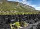 Aerial view of a house nestled in a mountain setting, surrounded by trees with mountain views in the background at 3968 Mont Blanc Way, Las Vegas, NV 89124