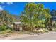 Mountain cabin exterior with large tree and paved road at 3968 Mont Blanc Way, Las Vegas, NV 89124
