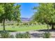 Large grassy park with many birds and mountain views at 50 Aura De Blanco St # 17101, Henderson, NV 89074