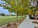 Pathway through park with green grass and autumn trees at 11416 Belmont Lake Dr # 102, Las Vegas, NV 89135