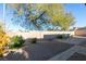 Landscaped backyard with patio and block wall at 445 Wright Way, Henderson, NV 89015