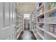 Bright pantry with white shelving for optimal storage and organization at 647 Foxhall Rd, Henderson, NV 89002