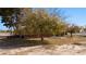 Single story brick home with a spacious yard and mature trees at 2925 Rice St, Logandale, NV 89021