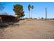 Picture of a property with mature trees and a spacious side yard, ideal for additional parking space at 2925 Rice St, Logandale, NV 89021
