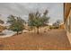 Backyard featuring desert landscaping, mature trees and a tranquil desert environment at 7804 Island Rail Dr, North Las Vegas, NV 89084