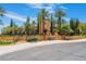 Community center with palm trees and a welcoming atmosphere at 4414 Regalo Bello St, Las Vegas, NV 89135