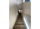 Carpeted staircase with white walls leading to the lower level of the home at 11177 Deluna St, Las Vegas, NV 89141