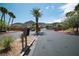 Community gate with meticulously landscaped grounds, mature trees, and manicured shrubbery at 716 Solitude Point Ave, Henderson, NV 89012