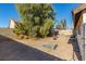Large backyard with dirt, a few trees, and a pallet at 4245 Seville St, Las Vegas, NV 89121