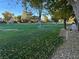 Lush green park area with mature trees and well maintained grass at 3077 Pinehurst Dr # A, Las Vegas, NV 89109