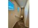 Carpeted staircase with natural light streaming through multiple windows on the way to the second floor of the house at 7544 Pink Mimosa Ave, Las Vegas, NV 89113