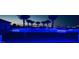 Expansive backyard with a pool and dramatic nighttime lighting at 4160 W Ford Ave, Las Vegas, NV 89139