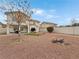 Landscaped backyard with gravel, artificial turf, and a tree at 504 Landra Ln, Henderson, NV 89015