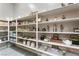 Well-organized pantry with ample shelving for storage at 16 Via Stefano, Henderson, NV 89011