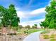 Landscaped walking path with green spaces at 600 N Carriage Hill Dr # 1113, Las Vegas, NV 89138