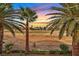 Picturesque backyard view featuring lush palm trees, a well-manicured golf course, and a colorful sunset sky at 8390 Carmel Ridge Ct, Las Vegas, NV 89113