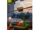 Outdoor lounge with comfortable seating and colorful pillows, perfect for relaxation at 353 E Bonneville Ave # 313, Las Vegas, NV 89101