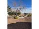 Landscaped backyard with mature trees and gravel at 3020 Ripon Dr, Las Vegas, NV 89134