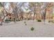 Gravel courtyard with trees, a picnic table, and surrounding buildings at 7701 Himalayas Ave # 104, Las Vegas, NV 89128