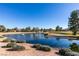 View of backyard's pond with fountain, landscaping, and the golf course at 8713 Litchfield Ave, Las Vegas, NV 89134