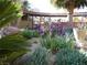 Landscaped backyard with mature plants and a pergola at 2205 Alia Ct, Las Vegas, NV 89102