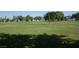 Expansive green common area featuring grassy park space and shade trees at 4709 W Alpine Pl, Las Vegas, NV 89107