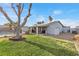 Landscaped backyard with grassy area, mature tree, and shed at 4767 Del Sueno Dr, Las Vegas, NV 89120