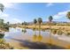 Serene lake view with palm trees and mountain backdrop at 5 Moonfire Dr, Las Vegas, NV 89135