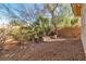 Landscaped backyard with desert plants and stone accents at 120 Emerald Dunes Cir, Henderson, NV 89052