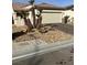 Front view of house with mature palm trees and rock landscaping at 7709 Island Rail Dr, North Las Vegas, NV 89084