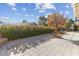 Backyard with patio, landscaping, and a large tree providing shade at 8229 Flowing Rapids Ct, Las Vegas, NV 89131