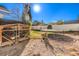 Backyard with chicken coop and trampoline at 4705 Rockvale Dr, Las Vegas, NV 89103