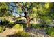 Lush backyard garden with a tranquil atmosphere beneath the shade of a mature tree at 2111 Bogart Ct, Las Vegas, NV 89117