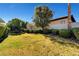 Expansive backyard with lush green grass, manicured landscaping and mature trees provide ample shade at 2111 Bogart Ct, Las Vegas, NV 89117