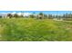 Expansive green lawn with picnic tables, benches, and open space for recreation at 3709 Citrus Heights Ave, North Las Vegas, NV 89081